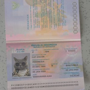 Indonesia-Passport-Template-