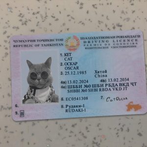 Tajikistan-Driver-License-Template-