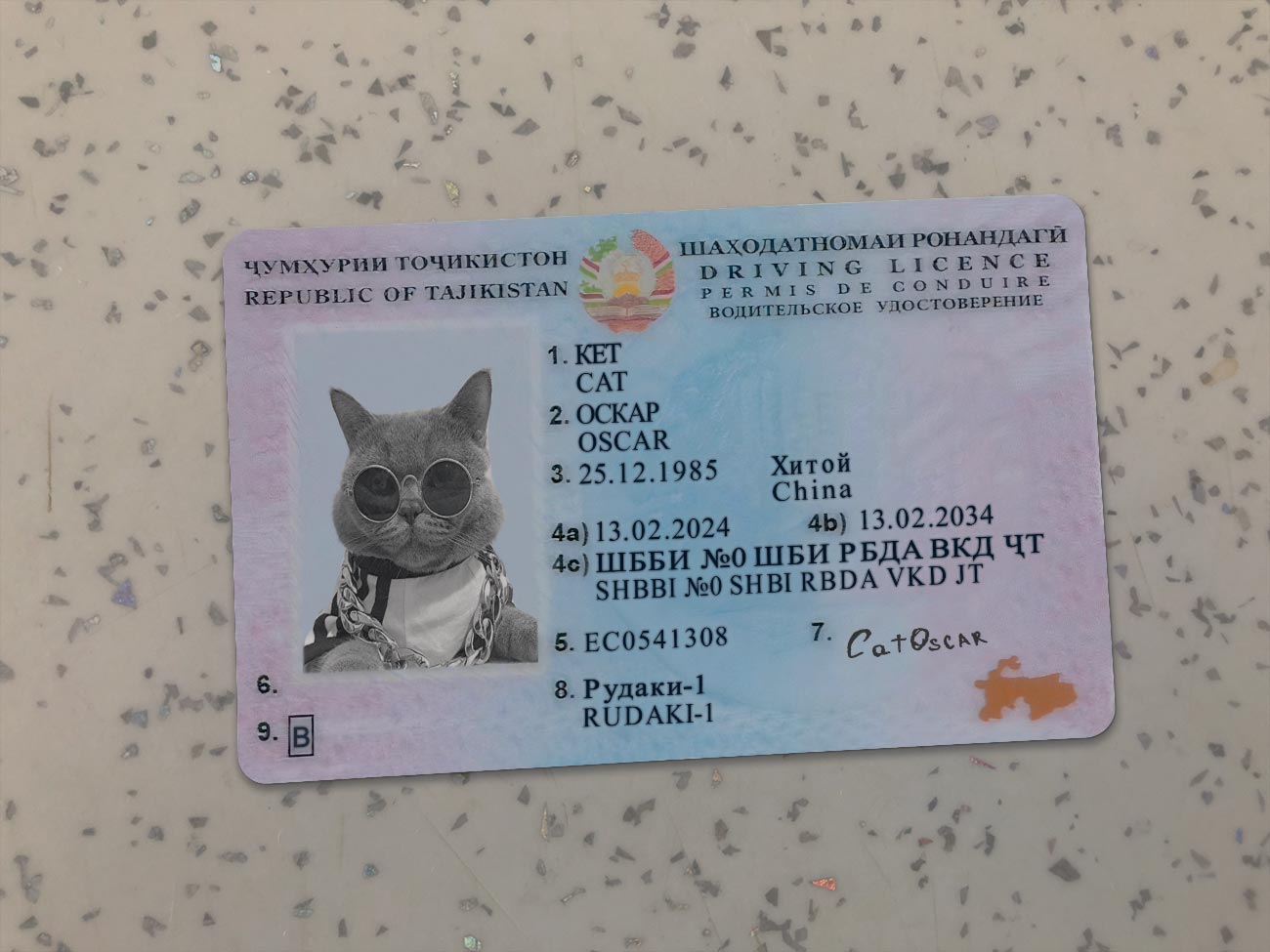Tajikistan-Driver-License-Template-