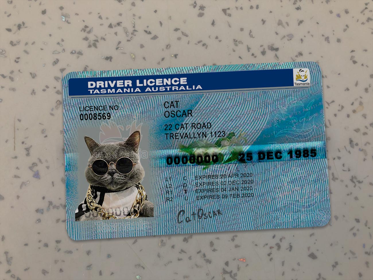 Tasmania-Driver-License-Template