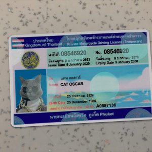 Thailand-Driver-License-Template-