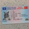 Turkey-Driver-License-Template