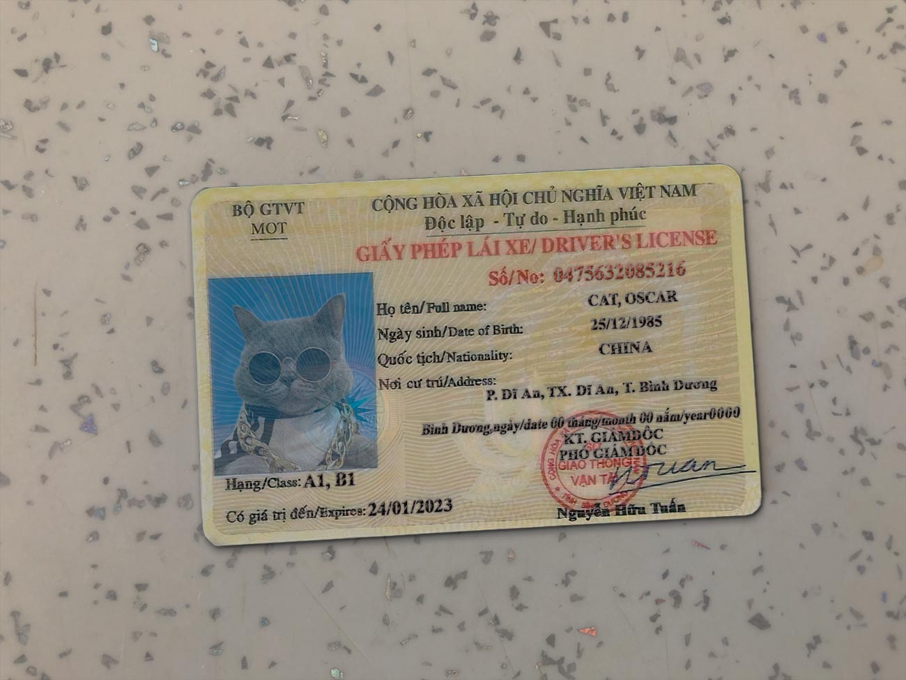 Vietnam-Driver-License-Template