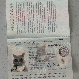 Argentina-Passport-Template