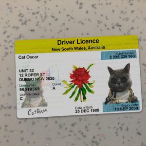 NSW Driver License PSD, Australia ID Template,