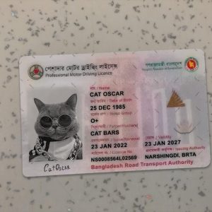 Bangladesh Driver License PSD Template