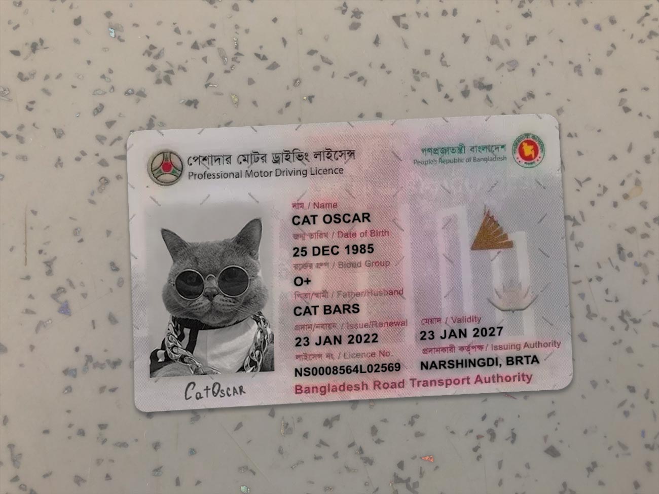 Bangladesh Driver License PSD Template