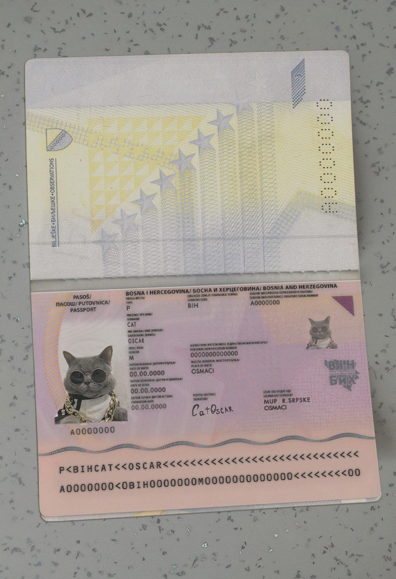 Bosnia-and-Herzegovina-Passport-Template-