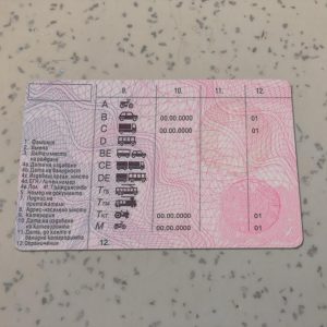 Bulgaria-Driver-License-Template