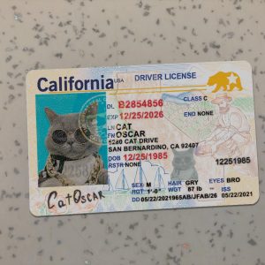 California-Driver-License-Template