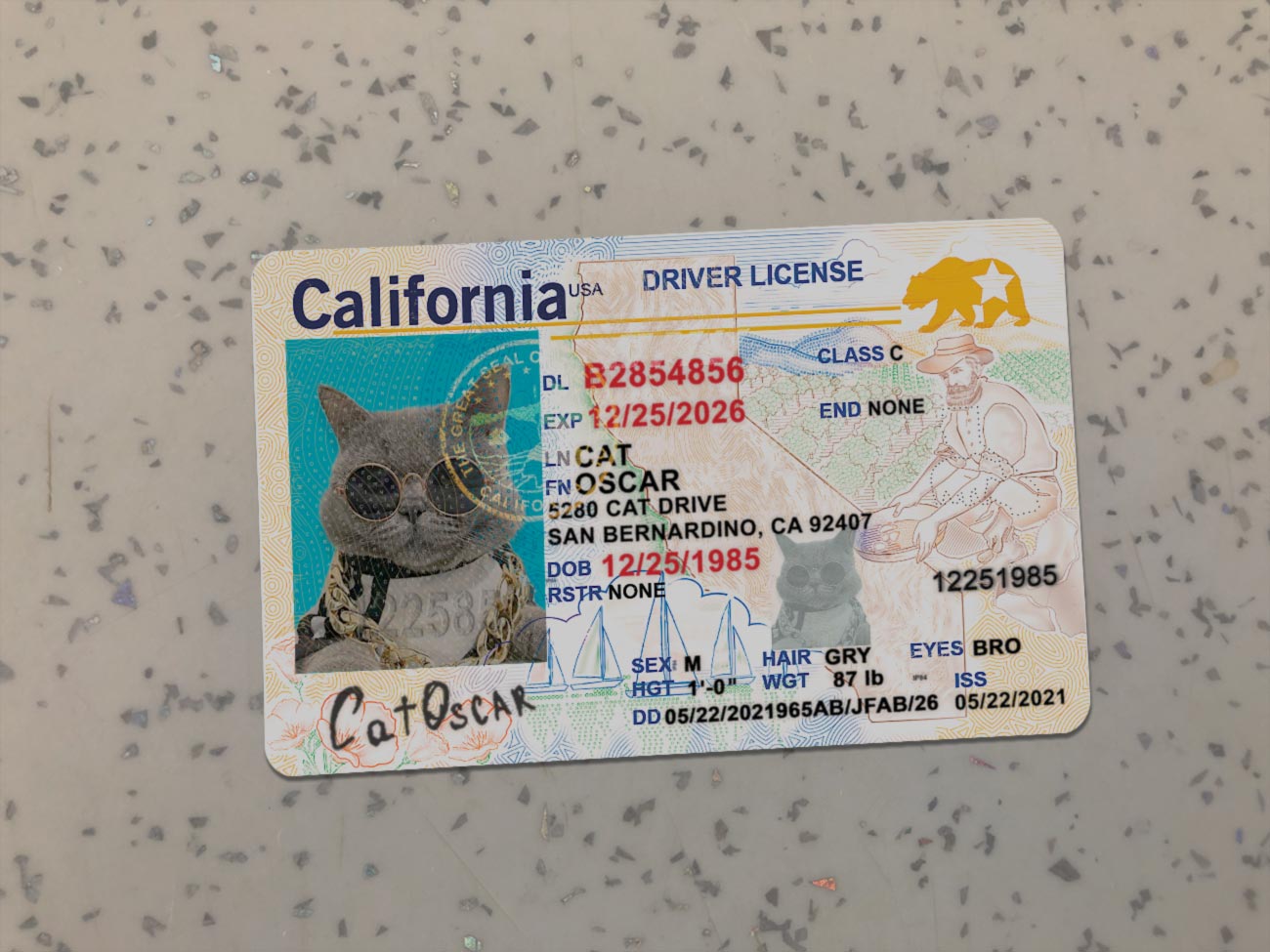 California-Driver-License-Template