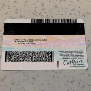 California-Driver-License-Template