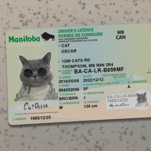 Canada-Manitoba-Driver-License