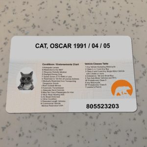 Canada-NWT-Driver-License-Template