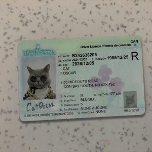 Canada-New-Brunswick-Driver-License