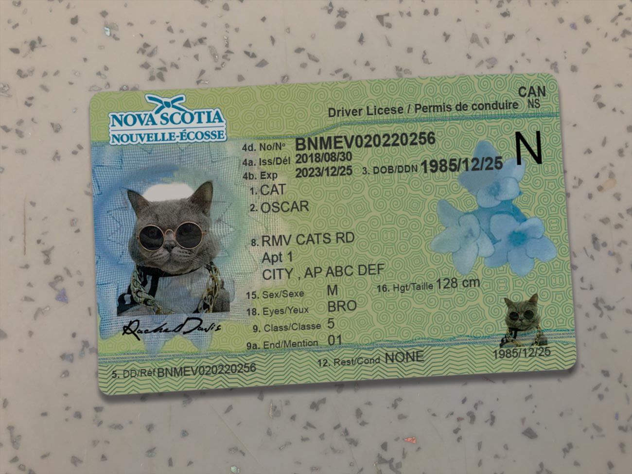 Canada-Nova-Scotia-Driver-License