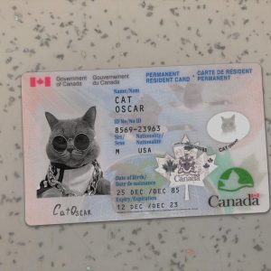 Canada-Residence-Permit-template