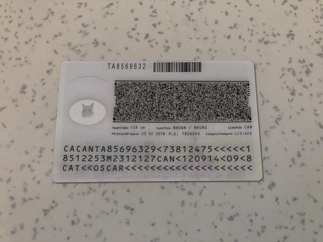 Canada-Residence-Permit-template