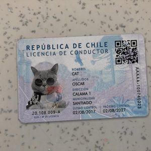Chile-Driver-License-Template