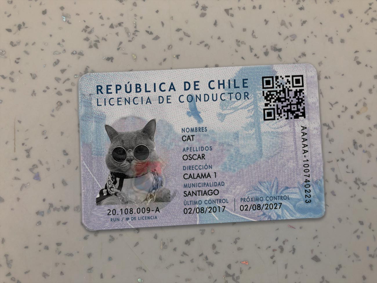Chile-Driver-License-Template