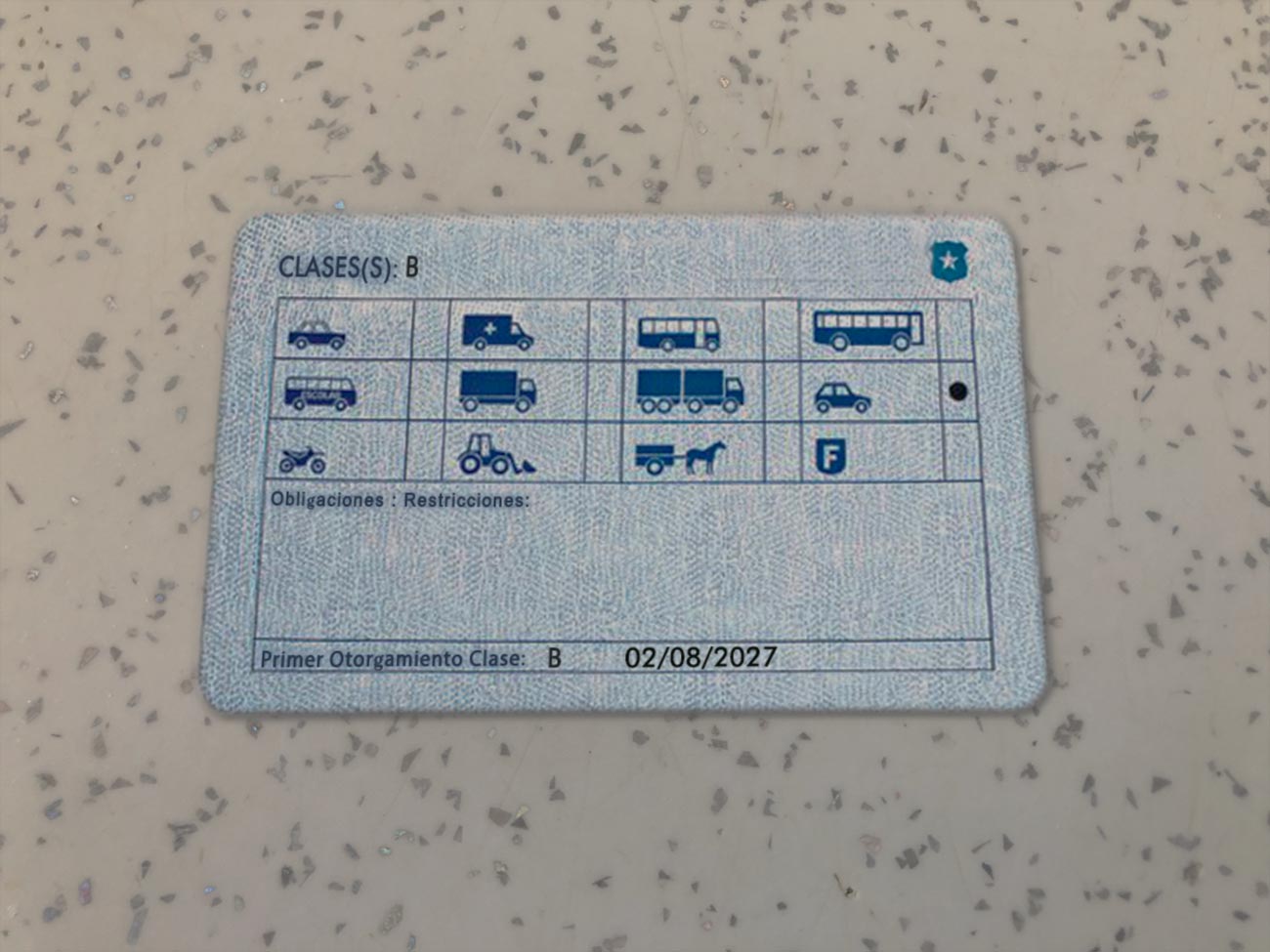 Chile-Driver-License-Template