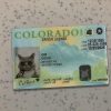 Colorado-Driver-License-Template