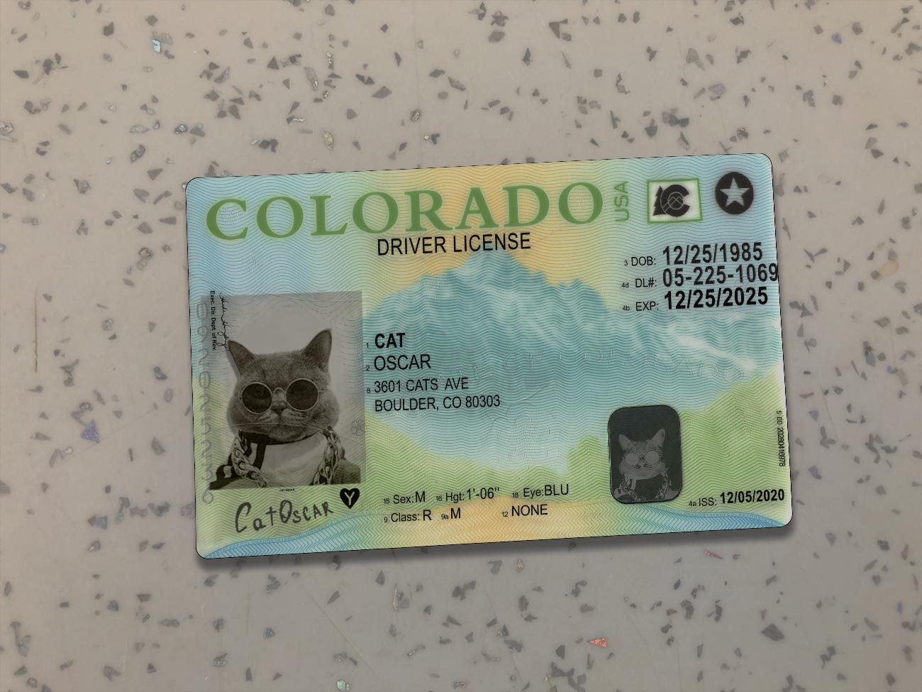 Colorado-Driver-License-Template