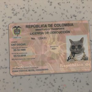 Columbia-Driver-License-Template-