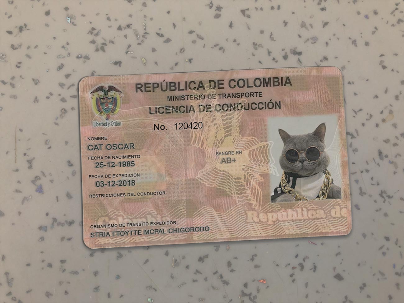 Columbia-Driver-License-Template-