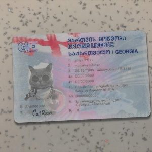 Georgia-- Driver License PSD Template