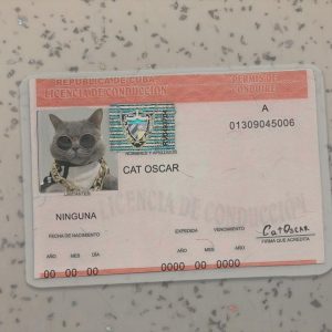 Cuba-Driver-License-Template