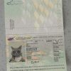 Cyprus-Passport-Template