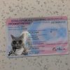 Czech Identity Card