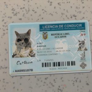 Ecuador-Driver-License-Template