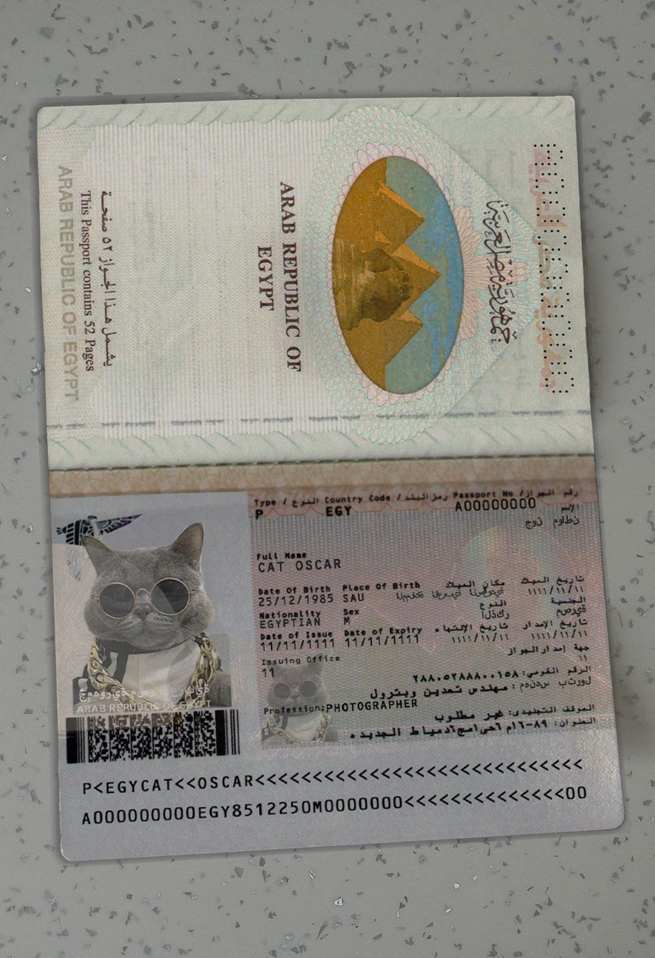 Egypt-Passport-Template