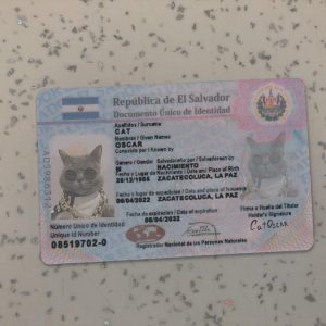 El-Salvador-Identity-Card-Template