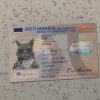 Estonia Identity Card