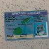Fiji-Driver-License-Template-