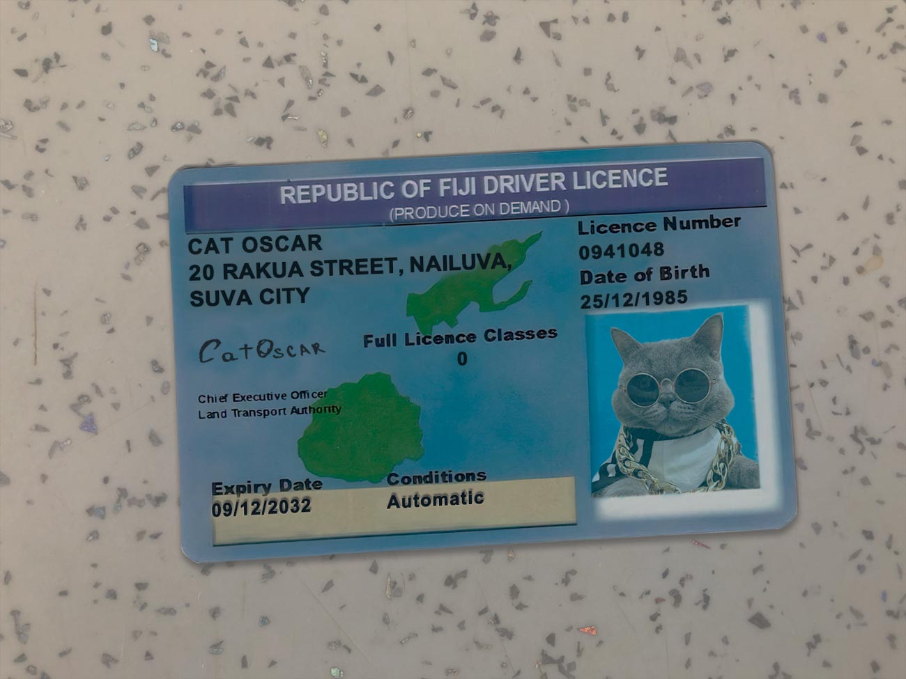 Fiji-Driver-License-Template-