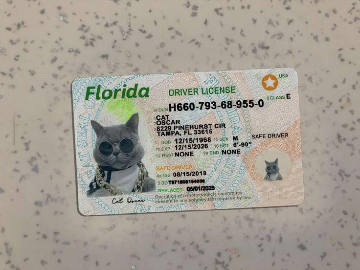 Florida-Driver-License-