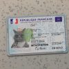 France Identit Card Template