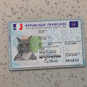 France Identit Card Template