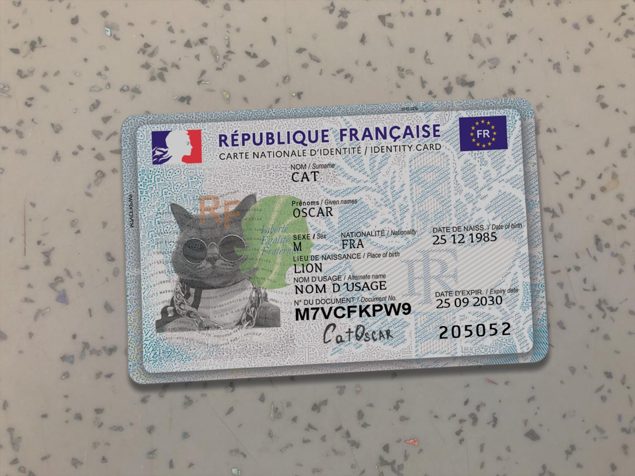 France Identit Card Template