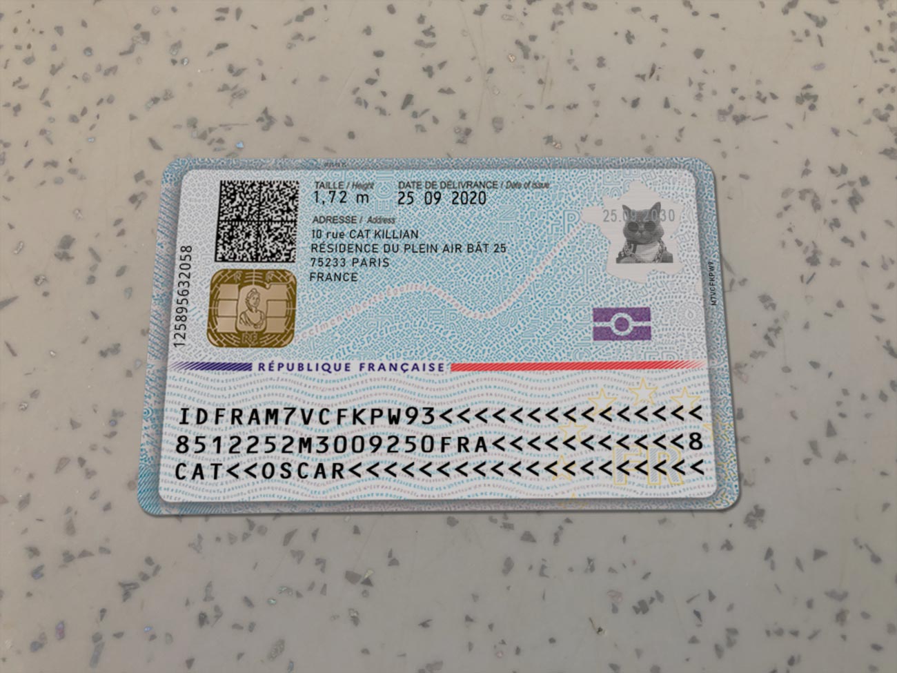 France Identit Card Template