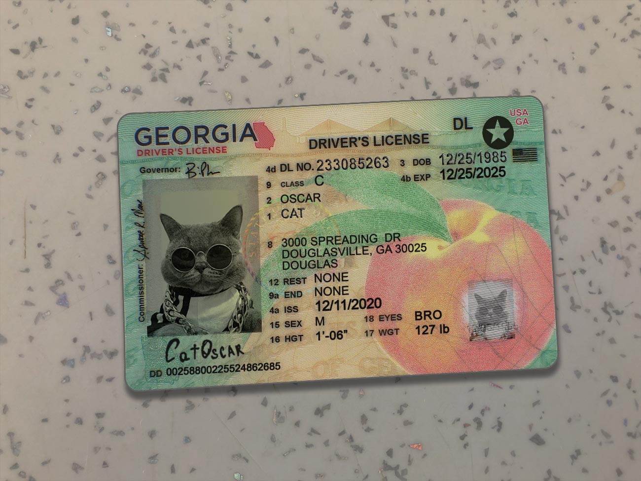 Georgia-Driver-License-Template