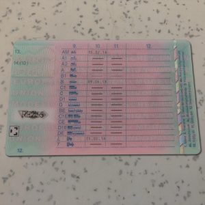 Germany-Driver-License-Template
