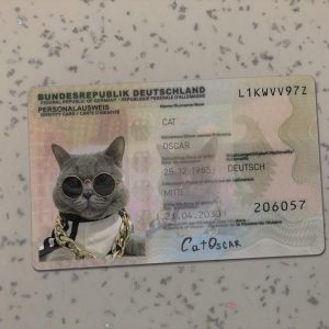 Germany Old Identity Card