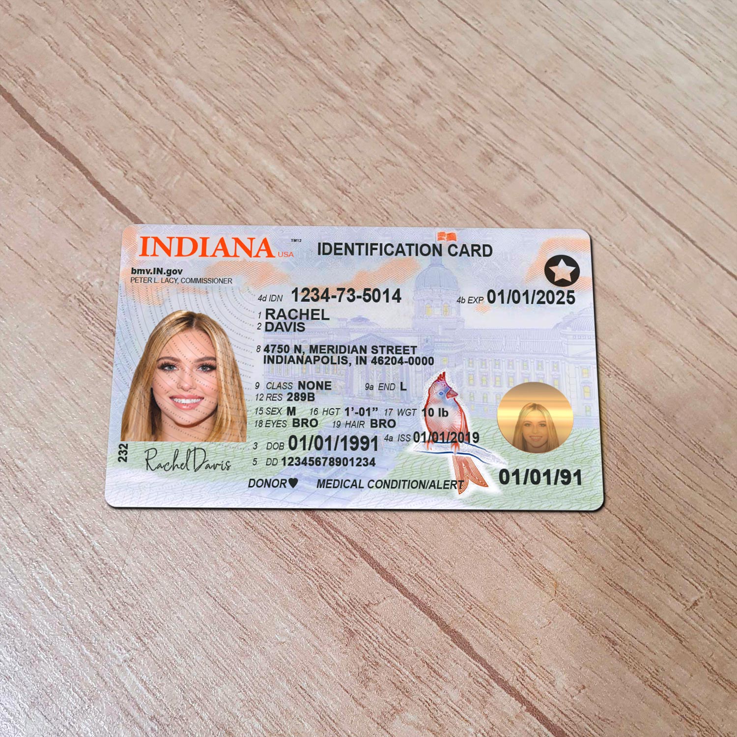 Indiana-Driver-License-Template-