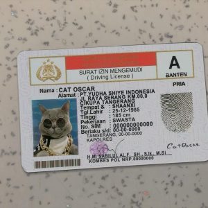 Indonesia-Driver-License-Template-