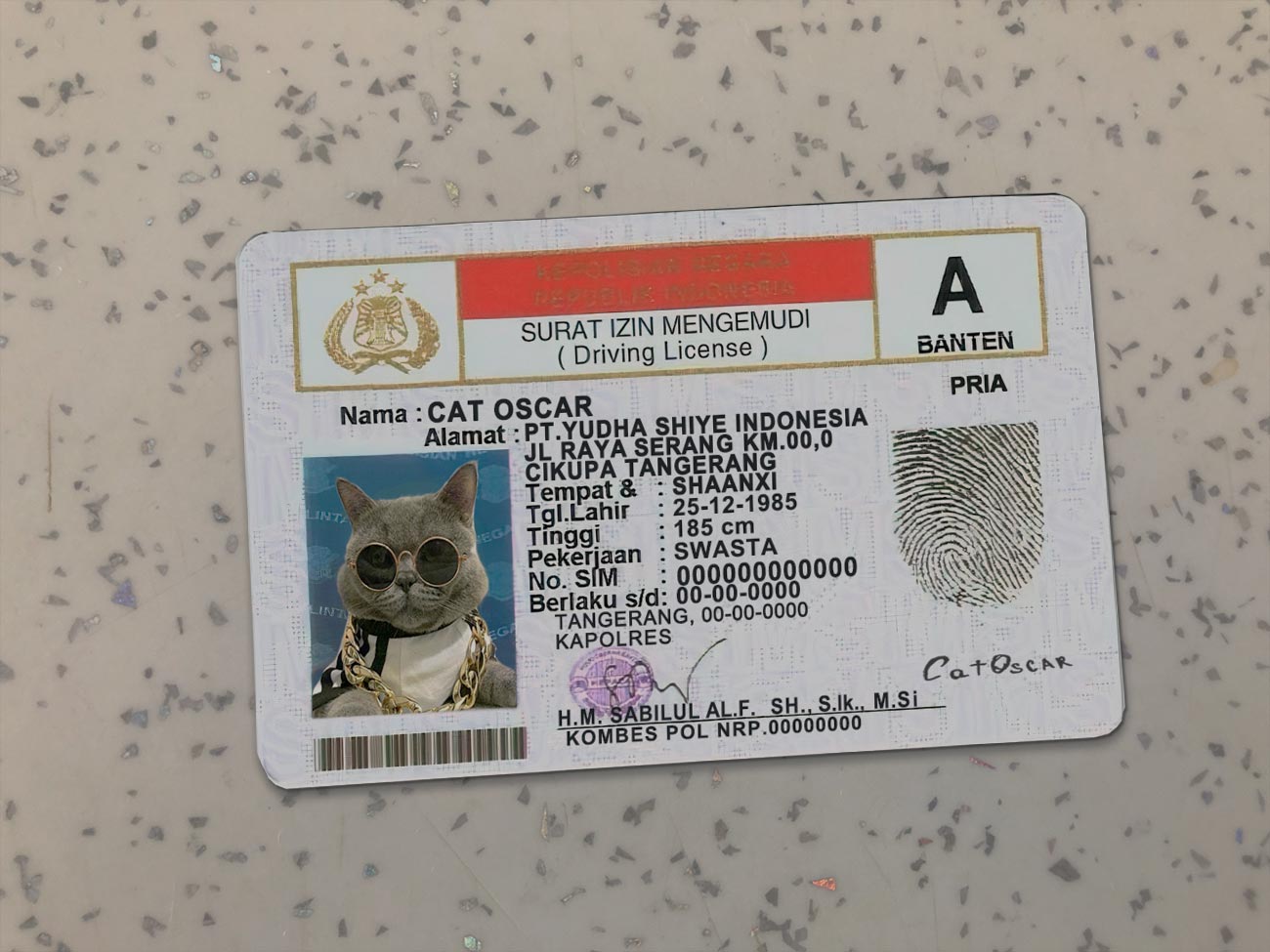 Indonesia-Driver-License-Template-